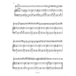 Sonata for Flute and Basso continuo : &ldquo;Hallenser No. 1&rdquo;, HWV 374  A minor